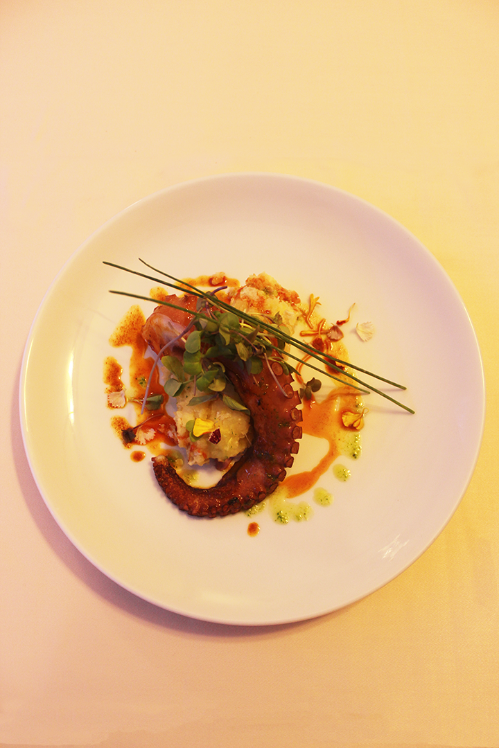 Plato7